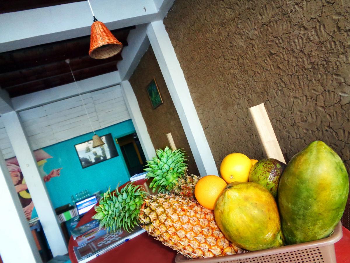 Reggae Zone Beach Resort 탕갈레 외부 사진