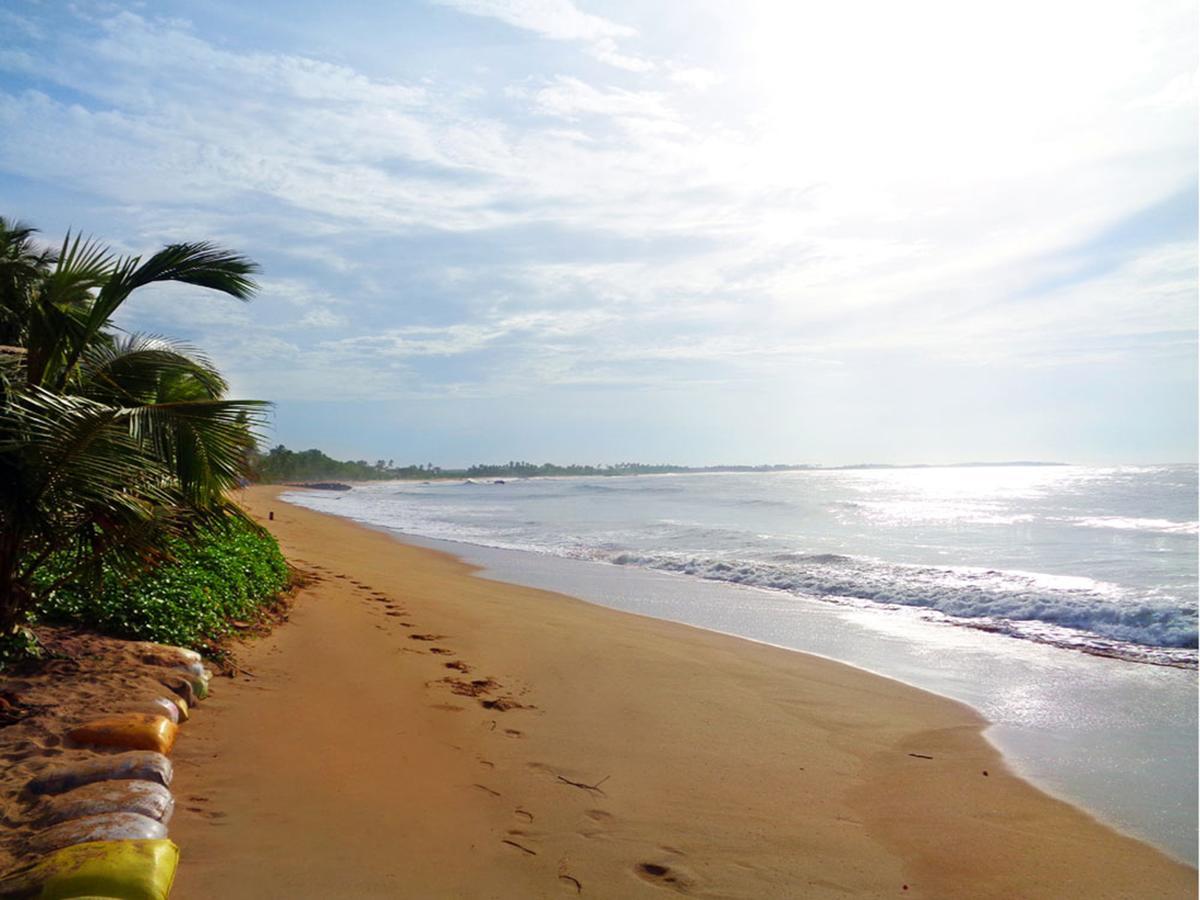 Reggae Zone Beach Resort 탕갈레 외부 사진